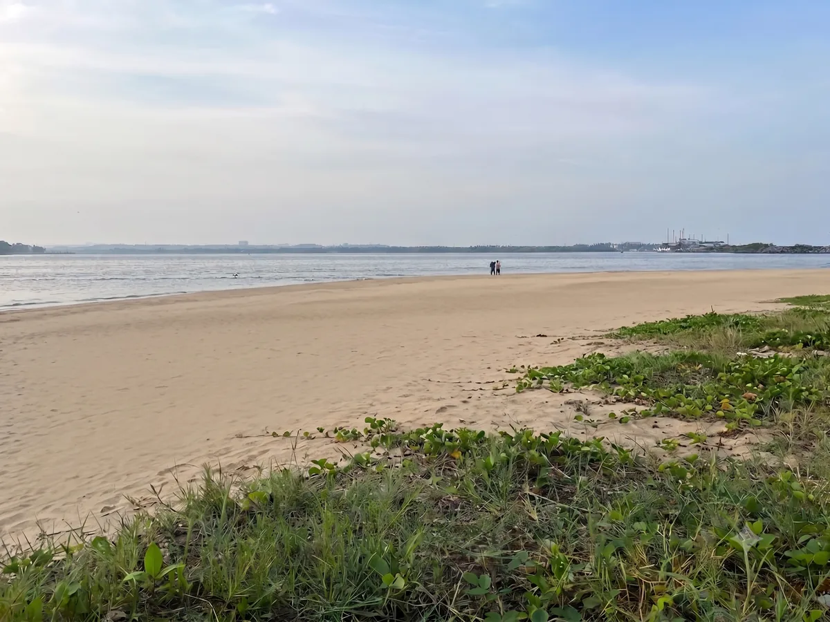 Clean beach after cleanup